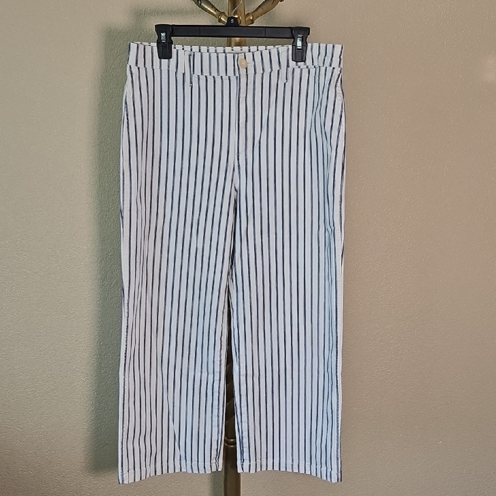 J. Crew White and Black Striped Pants